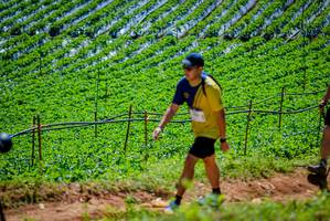 BIB: 
                            <button type="button" onclick="openModal(19164547)" class="btn btn-primary btn-sm float-right btn-popup" data-toggle="modal" data-target=".modal-high-quality">
                        <i class="fas fa-shopping-cart"></i> Add to Cart
                    </button>
                                            <button type="button" onclick="isThisMe(19164547, true)" class="btn btn-success btn-sm float-right btn-popup btn-isme hidden" data-toggle="tooltip" data-placement="bottom" title="นี่คือรูปของคุณใช่ไหม คลิกที่นี่เพื่อเอาเข้าอัลบั้ม">
                        <i class="fas fa-plus"></i> Add to album
                    </button>
                    <button type="button" onclick="isThisMe(19164547, false)" class="btn btn-warning btn-sm float-right btn-popup btn-isnotme hidden">
                        <i class="fas fa-ban"></i> Remove from album
                    </button>